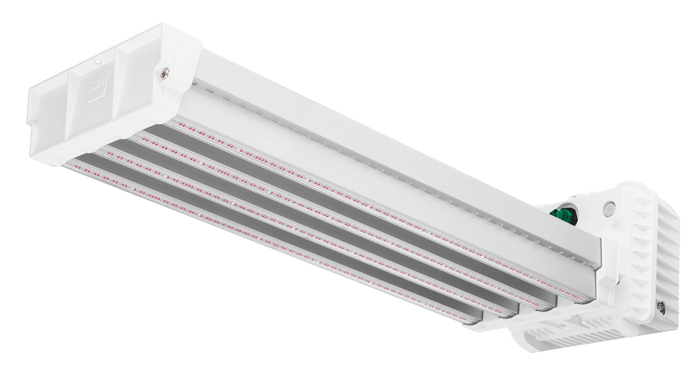Dutch Lighting Innovations Apex Series LED Top Lighting Fixture, 800 FS-DC  - QC Supply