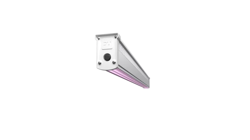 DLI-NOVA_02