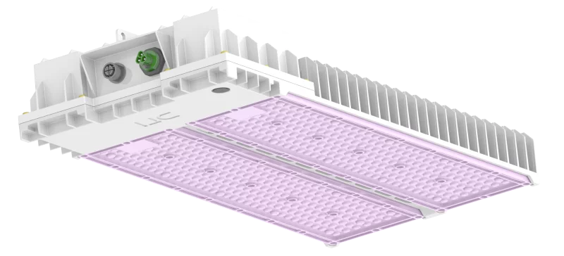 DLI_NXS_LED