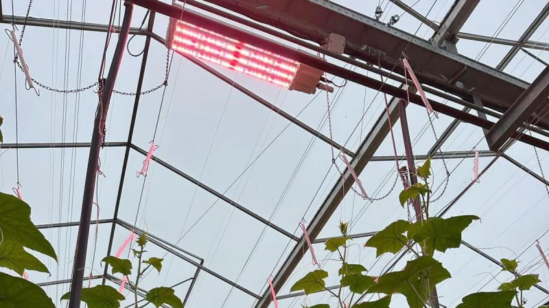 WEB_Drenthe-Growers_03