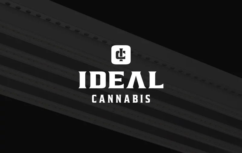 ideal_02