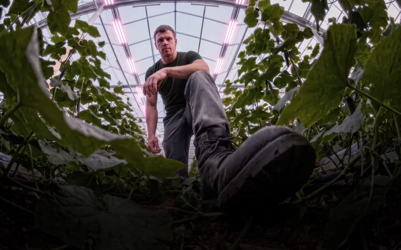 DLI_Header_Greenhouse_short