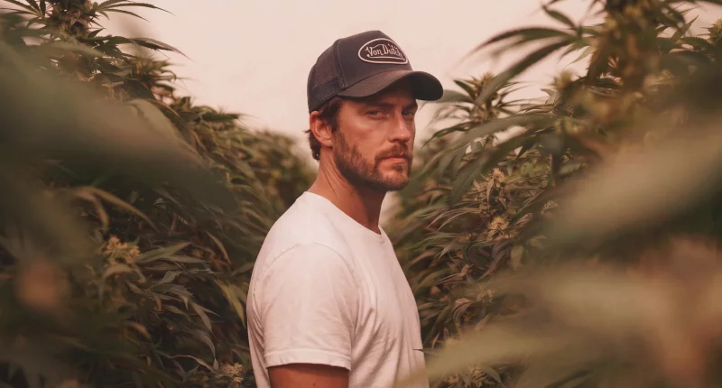 DLI_home_banner_Cannabis_02