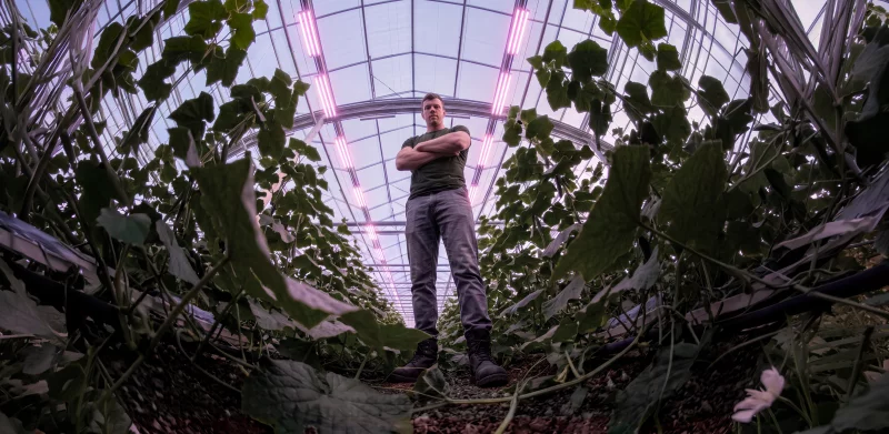 DLI_home_header_Greenhouse_05
