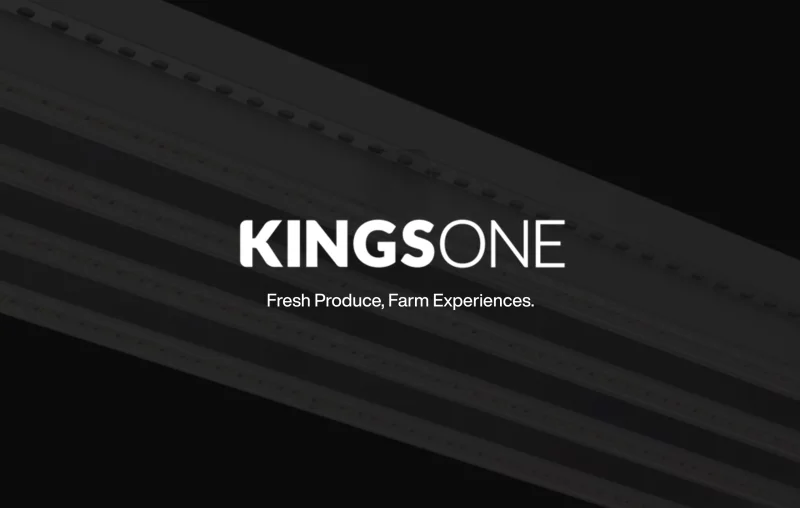 kingsone